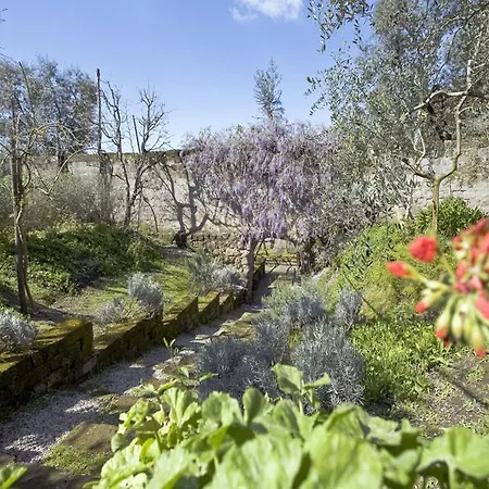 ベッド・アンド・ブレックファスト リディア ソレント