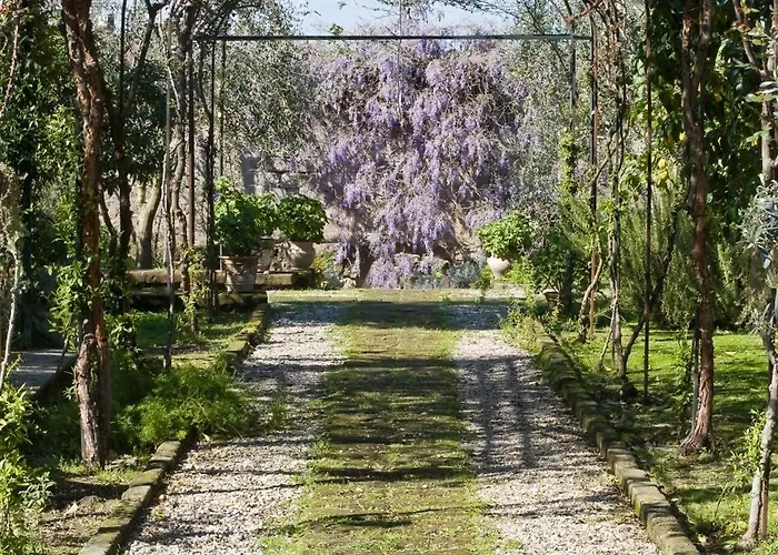 Lidia Bed & Breakfast