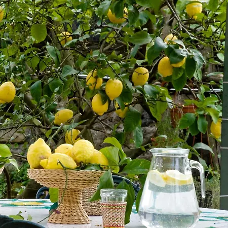 Lidia Bed & Breakfast Sorrento
