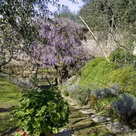 Bed & Breakfast Lidia 3*