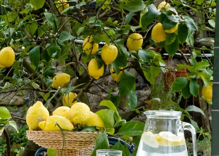 Lidia Bed & Breakfast Sorrento