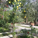 Bed & Breakfast Lidia 4*