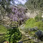 Bed & Breakfast Lidia 4*