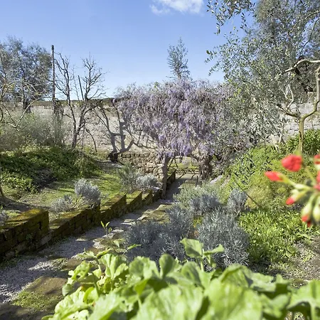 住宿加早餐酒店 利迪娅木屋酒店