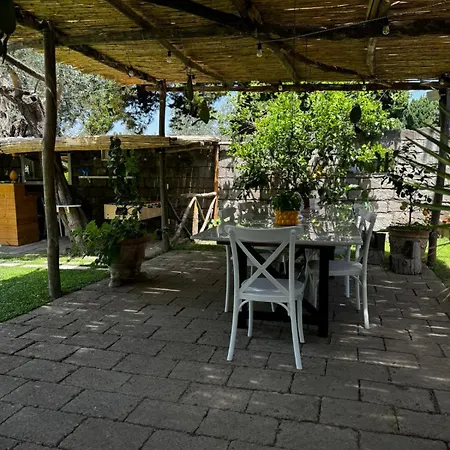 利迪娅木屋酒店 住宿加早餐酒店 索伦托