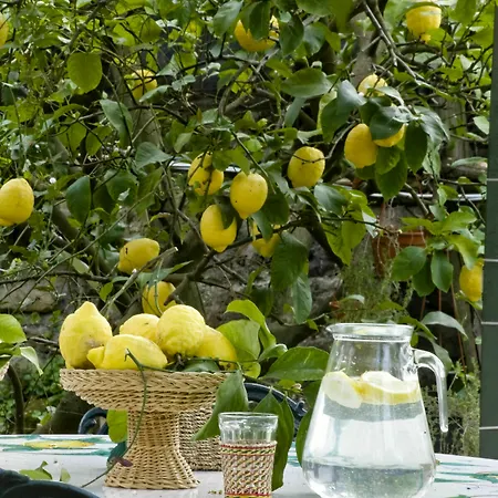 Lidia Bed & Breakfast Sorrento