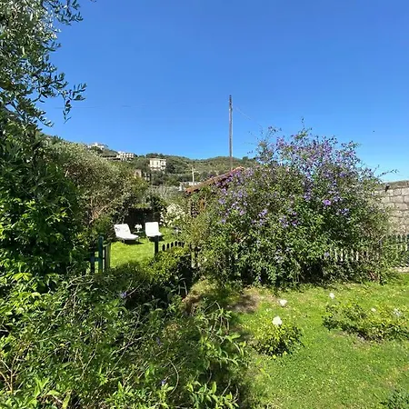 利迪娅木屋酒店 住宿加早餐酒店 4*