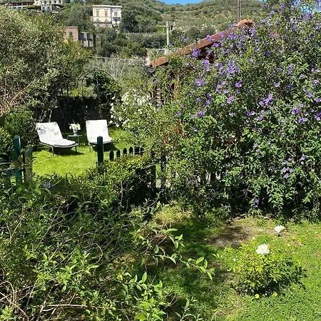 Lidia Sorrento